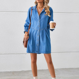 Button Up Flounce Sleeve Mini Denim Dress