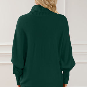 Merry Letter Embroidered High Neck Sweater