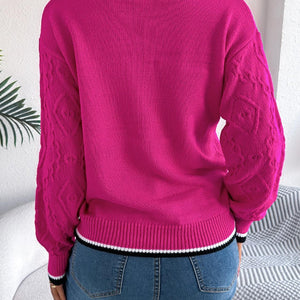 Contrast Trim Round Neck Long Sleeve Sweater