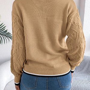 Contrast Trim Round Neck Long Sleeve Sweater