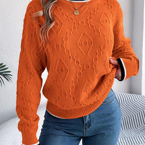 Contrast Trim Round Neck Long Sleeve Sweater