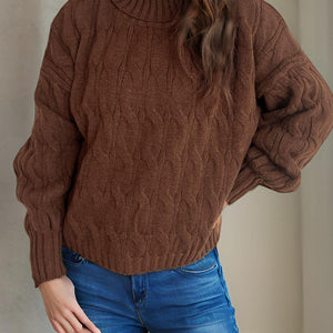 Cable-Knit Turtleneck Long Sleeve Sweater