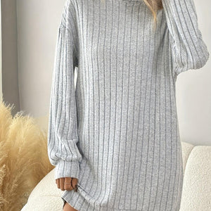 Turtleneck Dropped Shoulder Long Sleeve Mini Dress