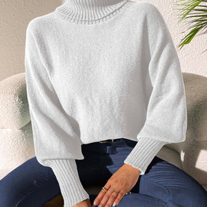 Turtleneck Long Sleeve Sweater