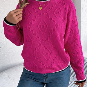 Contrast Trim Round Neck Long Sleeve Sweater