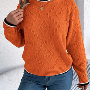 Contrast Trim Round Neck Long Sleeve Sweater