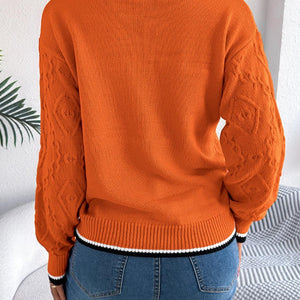 Contrast Trim Round Neck Long Sleeve Sweater