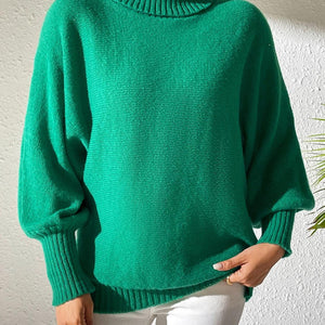 Turtleneck Long Sleeve Sweater